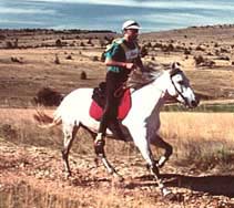 Course &eacute;questre d'endurance