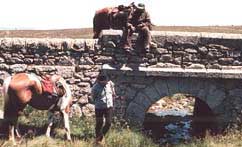 Randonn&eacute;e sur le Mont-Loz&eacute;re